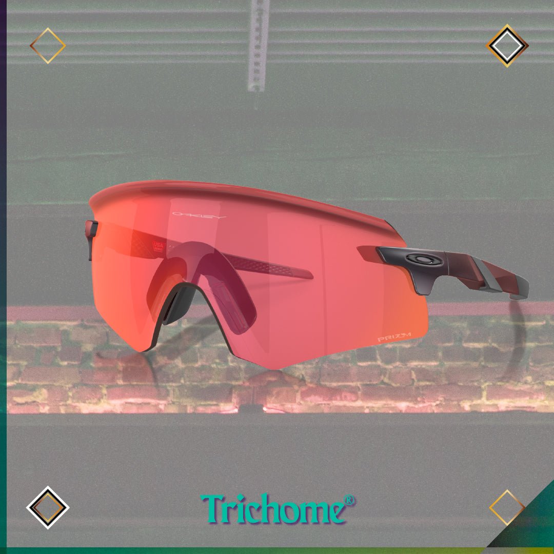 High Wrap Fit Eyewear - Trichome Seattle