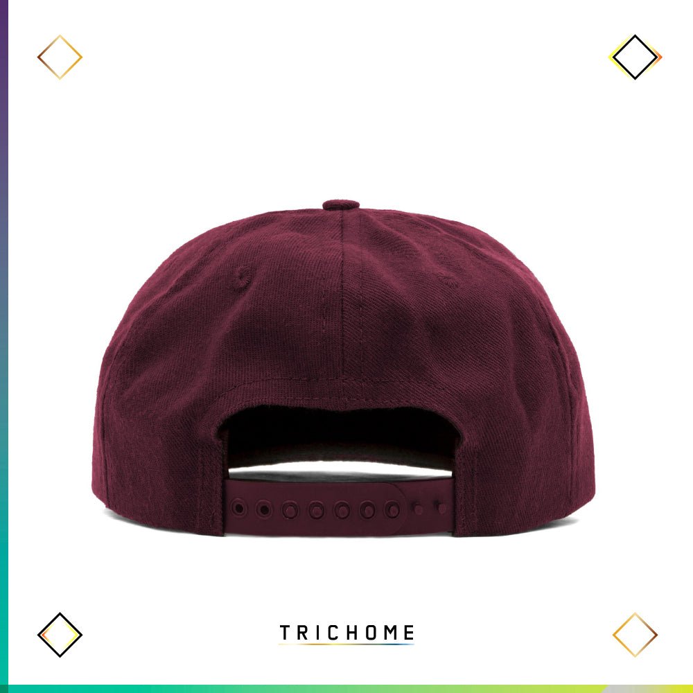 Courthouse Logo Hat - Trichome Seattle - CBI - Clothing