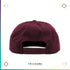 Courthouse Logo Hat - Trichome Seattle - CBI - Clothing