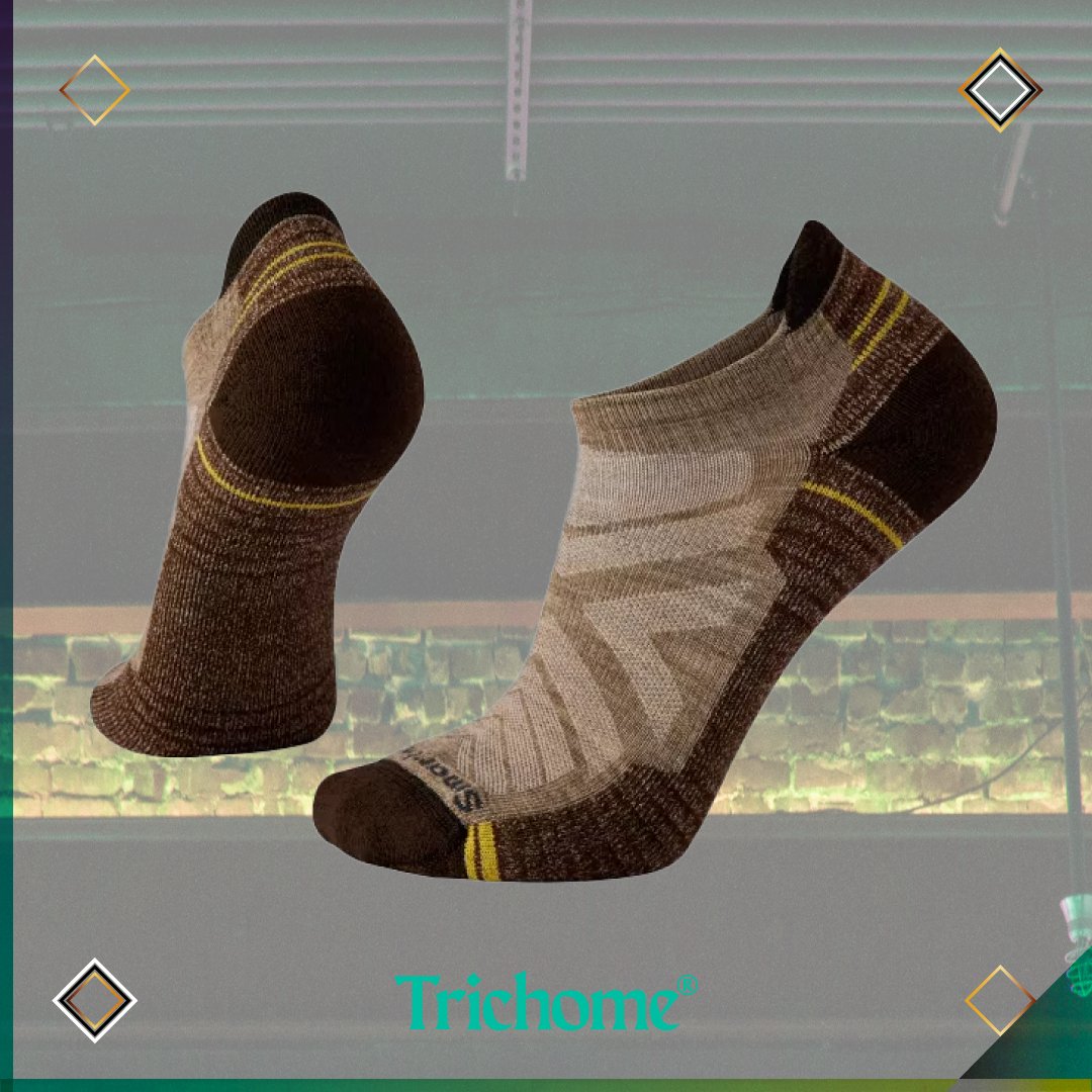 Hike Light Cushion Low Ankle Socks - Trichome Seattle - Smartwool - Clothing