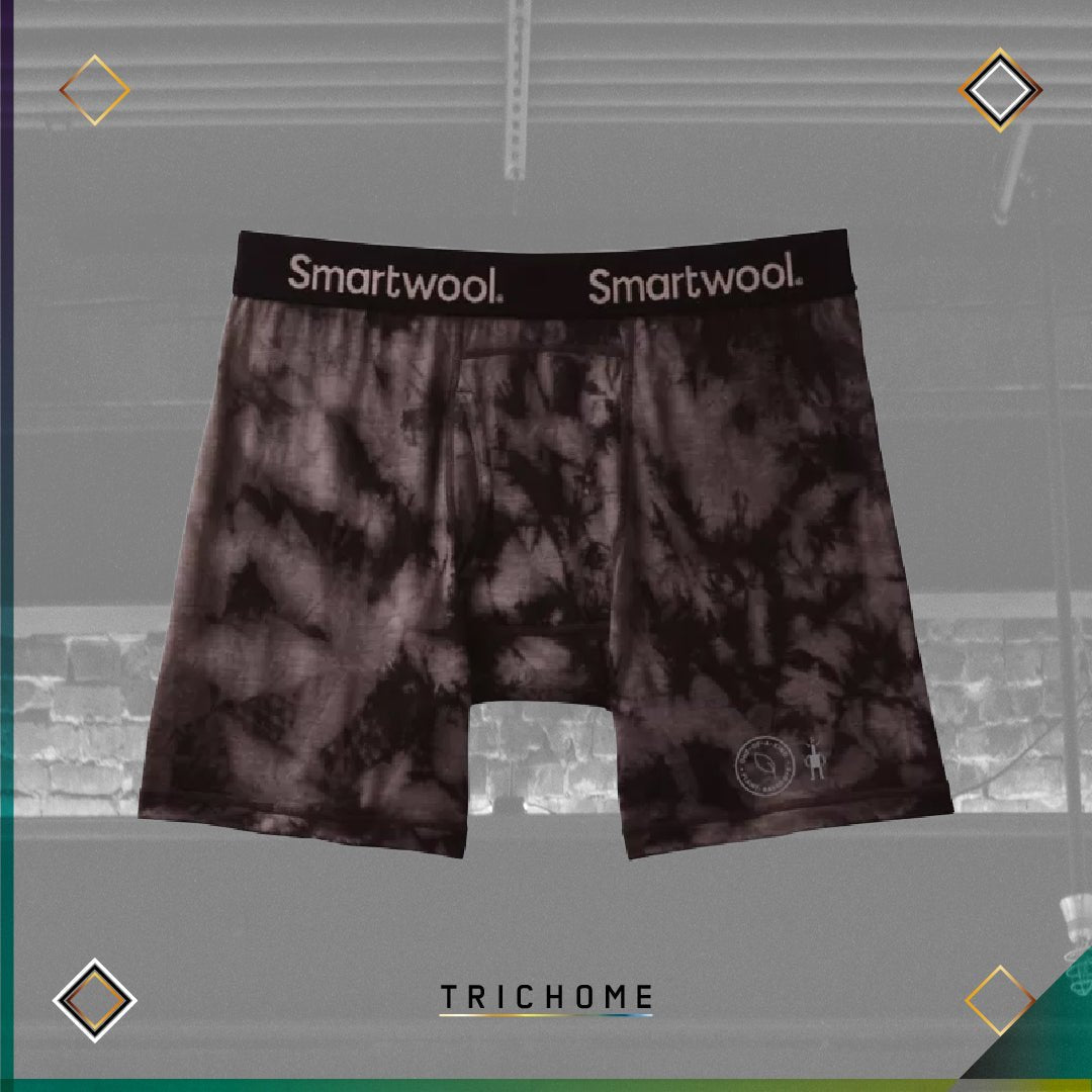 Men's Merino 150 Boxer Briefs - Trichome Seattle - Smartwool - Clothing