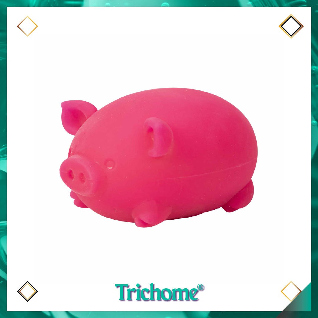 NeeDoh Dig' It Pig - Trichome Seattle - NeeDoh - Toys
