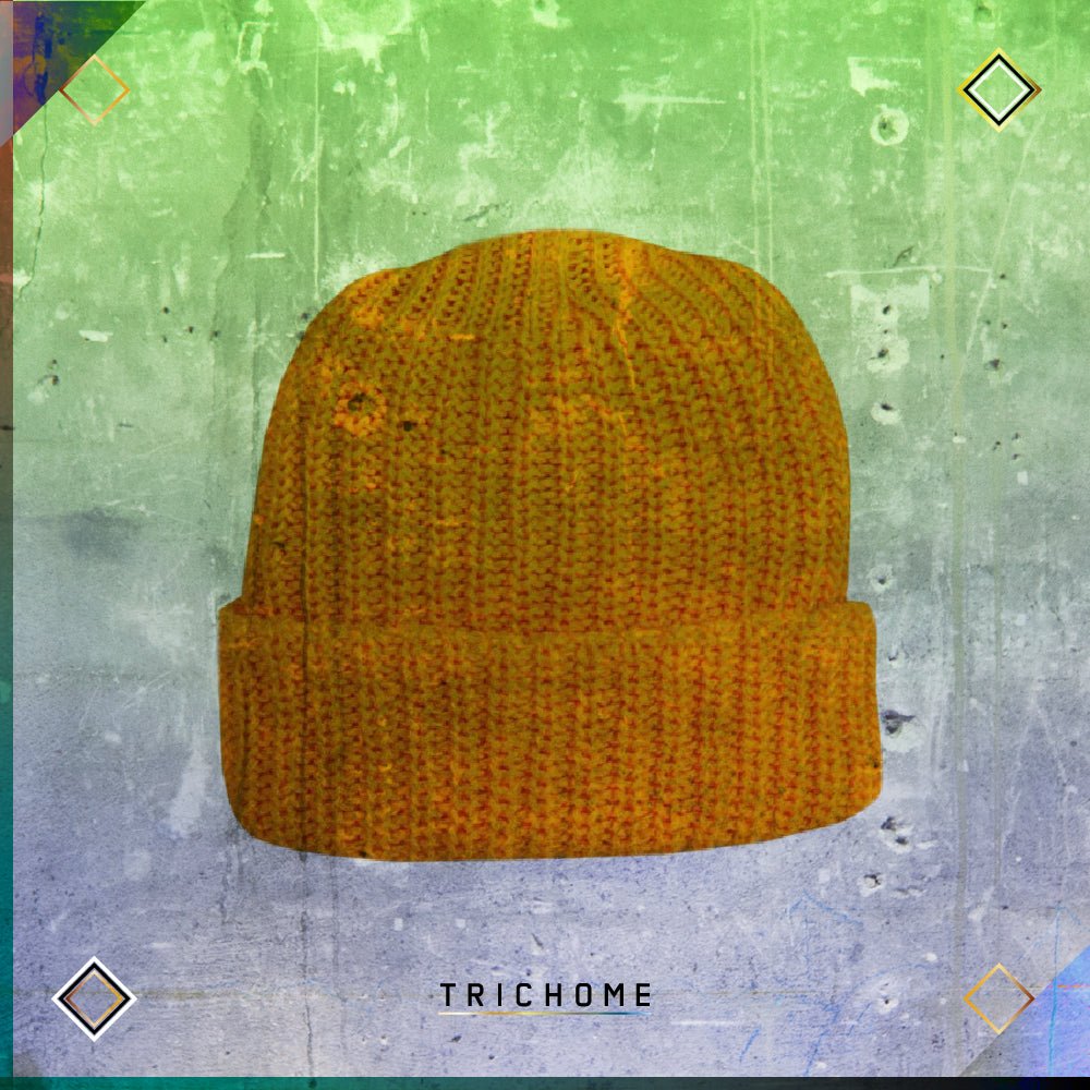 Pacific Northwest Heavy - Knit Watch Cap / Mango - Trichome Seattle - Trichome - Clothing
