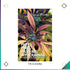 Puff, Puff, Pass Me My Journal - Trichome Seattle - Spurs Broken - Books