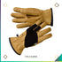 Ridgeway Gloves - Trichome Seattle - Smartwool - Clothing