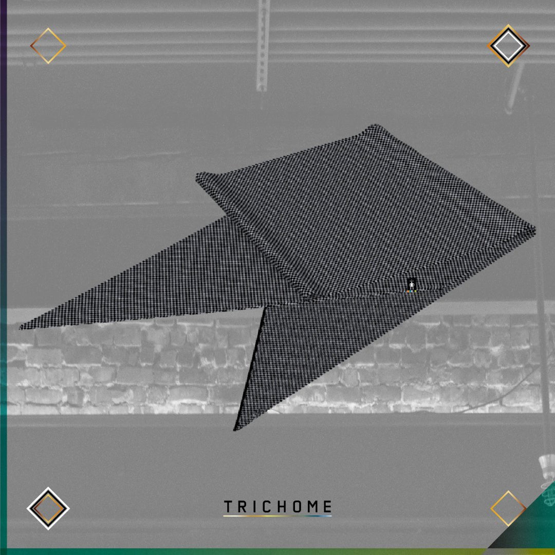 Snowline Point Texture Scarf - Trichome Seattle - Smartwool - Clothing