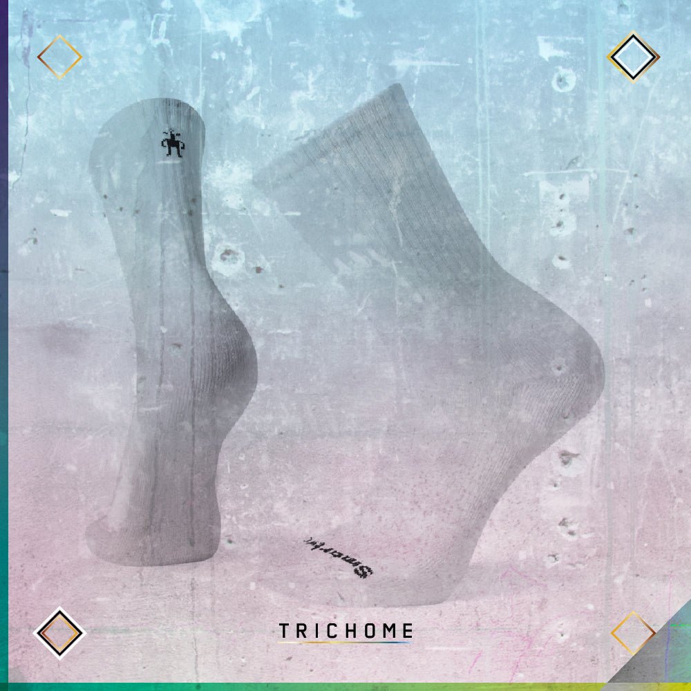 Unisex Athletic Light Elite Crew Socks - Trichome Seattle - Smartwool - Clothing