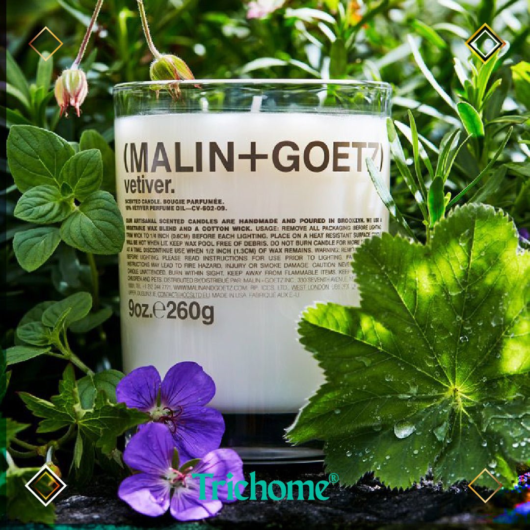 Vetiver Candle - Trichome Seattle - Malin+Goetz - Atmosphere