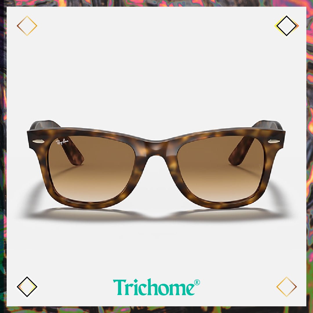 Wayfarer Ease - Trichome Seattle - Ray - Ban - Eyewear