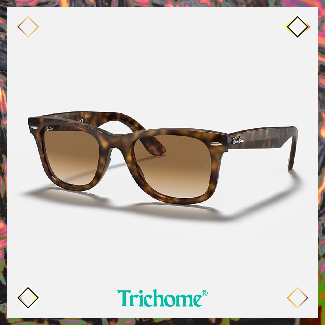 Wayfarer Ease - Trichome Seattle - Ray - Ban - Eyewear