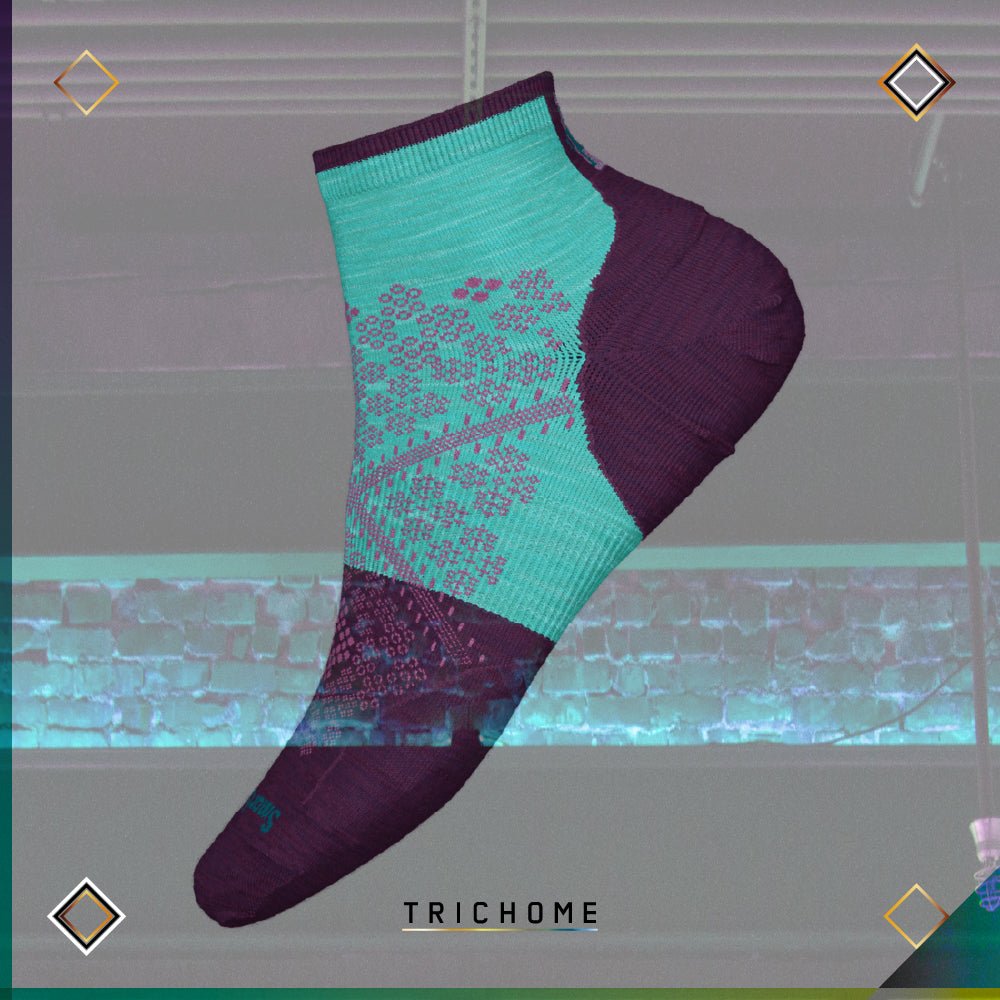 Women's PhD® Cycle Ultra Light Mini Socks - Trichome Seattle - Smartwool - Clothing