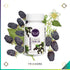 Wyld CBD Gummies - Trichome Seattle - Wyld - CBD