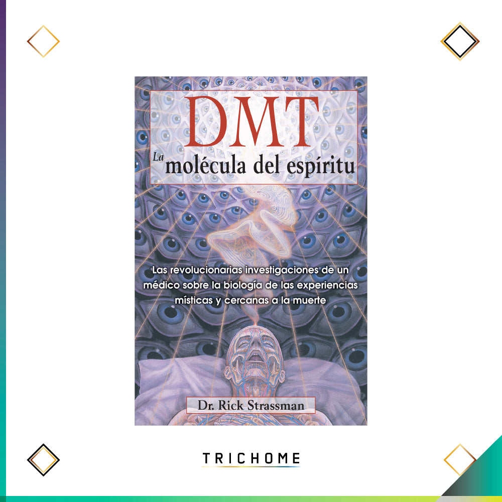 DMT: La Molécula del Espíritu
