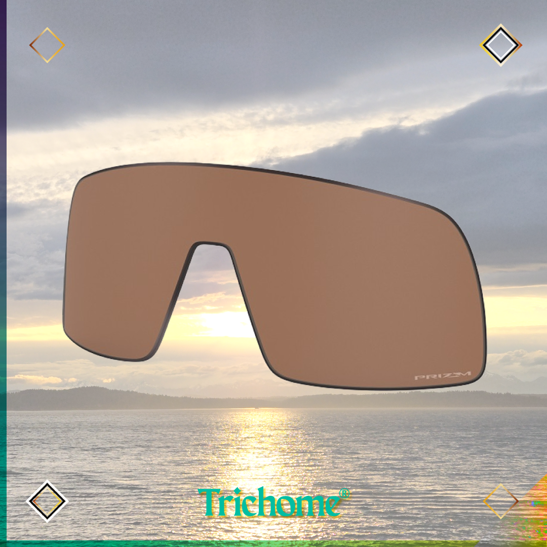 Sutro Replacement Lens