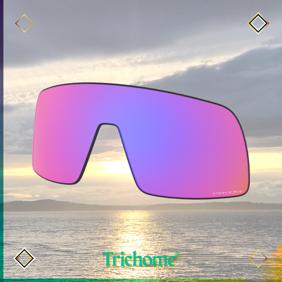 Sutro Replacement Lens