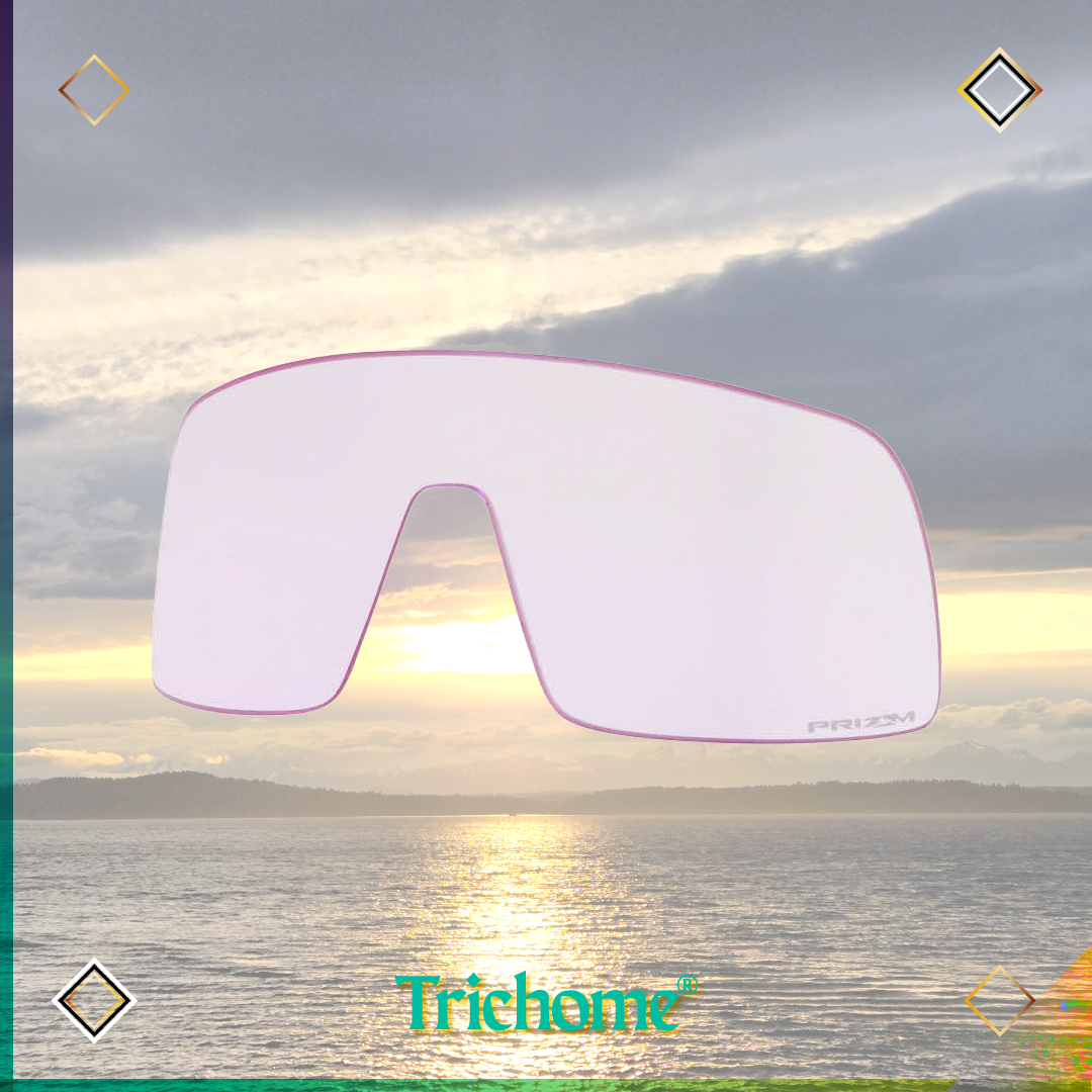 Sutro Replacement Lens
