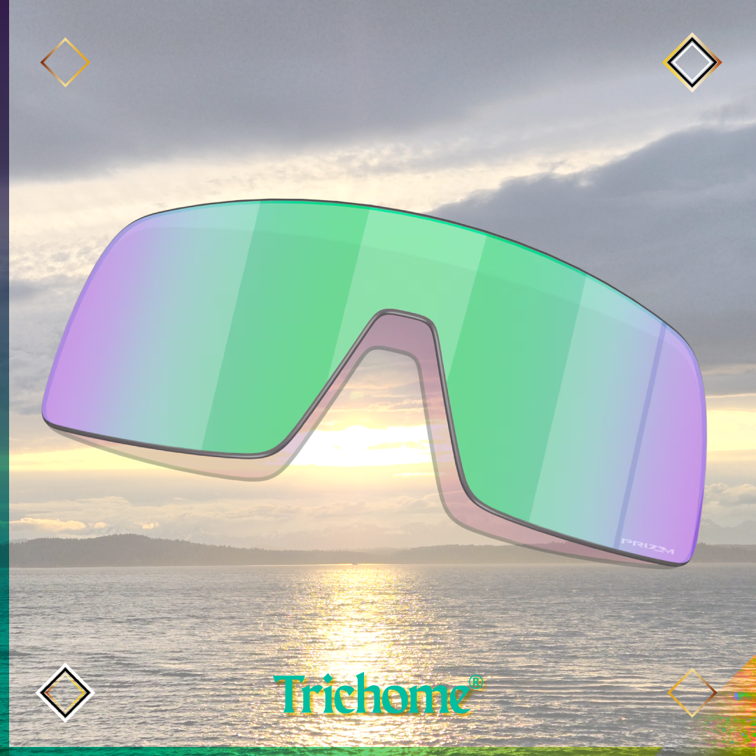 Sutro Replacement Lens