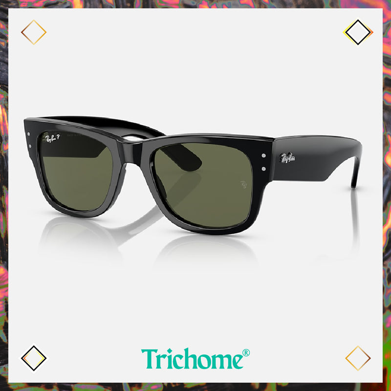 Mega Wayfarer (Low Bridge Fit)