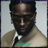 RB3929 by A$AP ROCKY