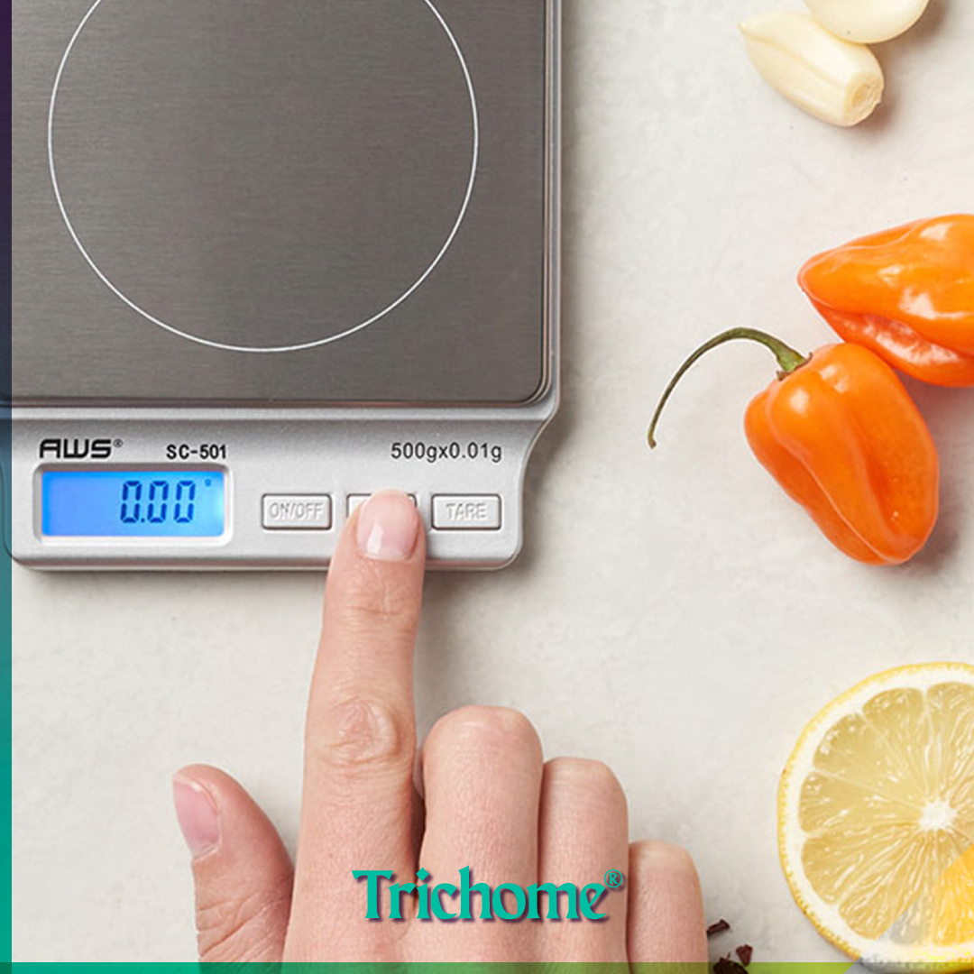 SC501 Digital Scale (500g / .01 g)