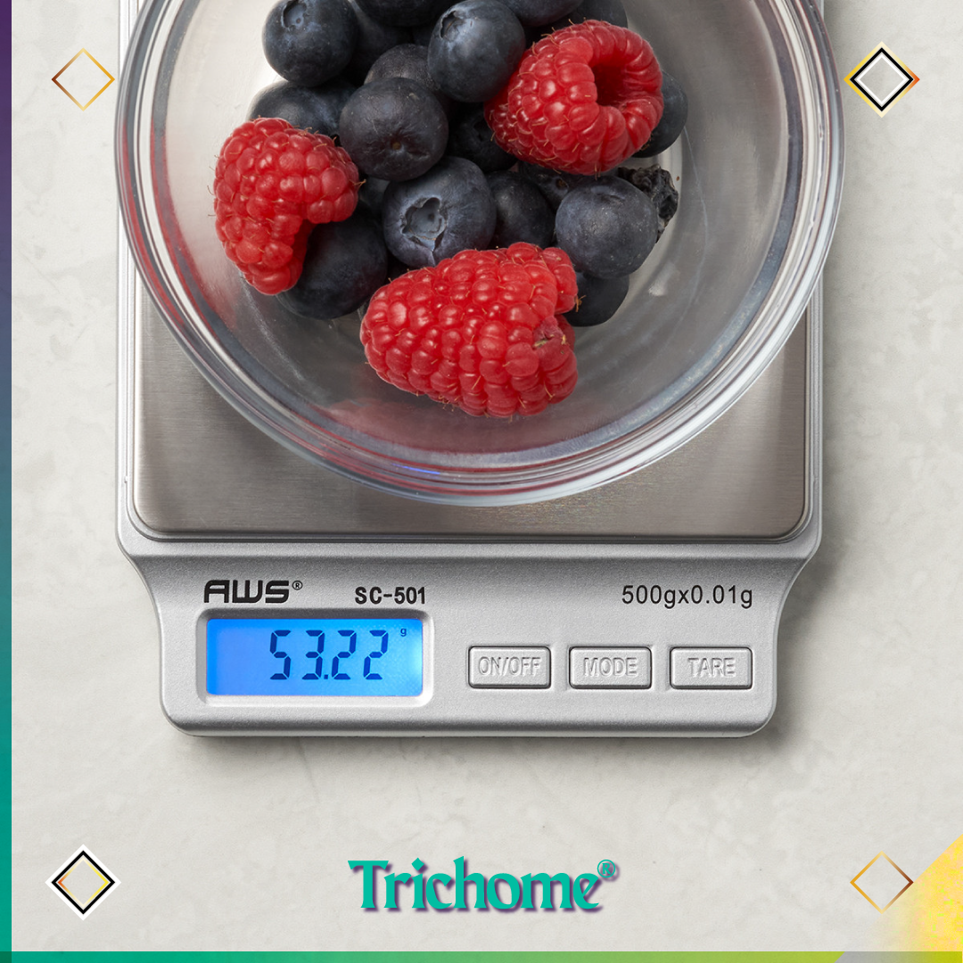 SC501 Digital Scale (500g / .01 g)