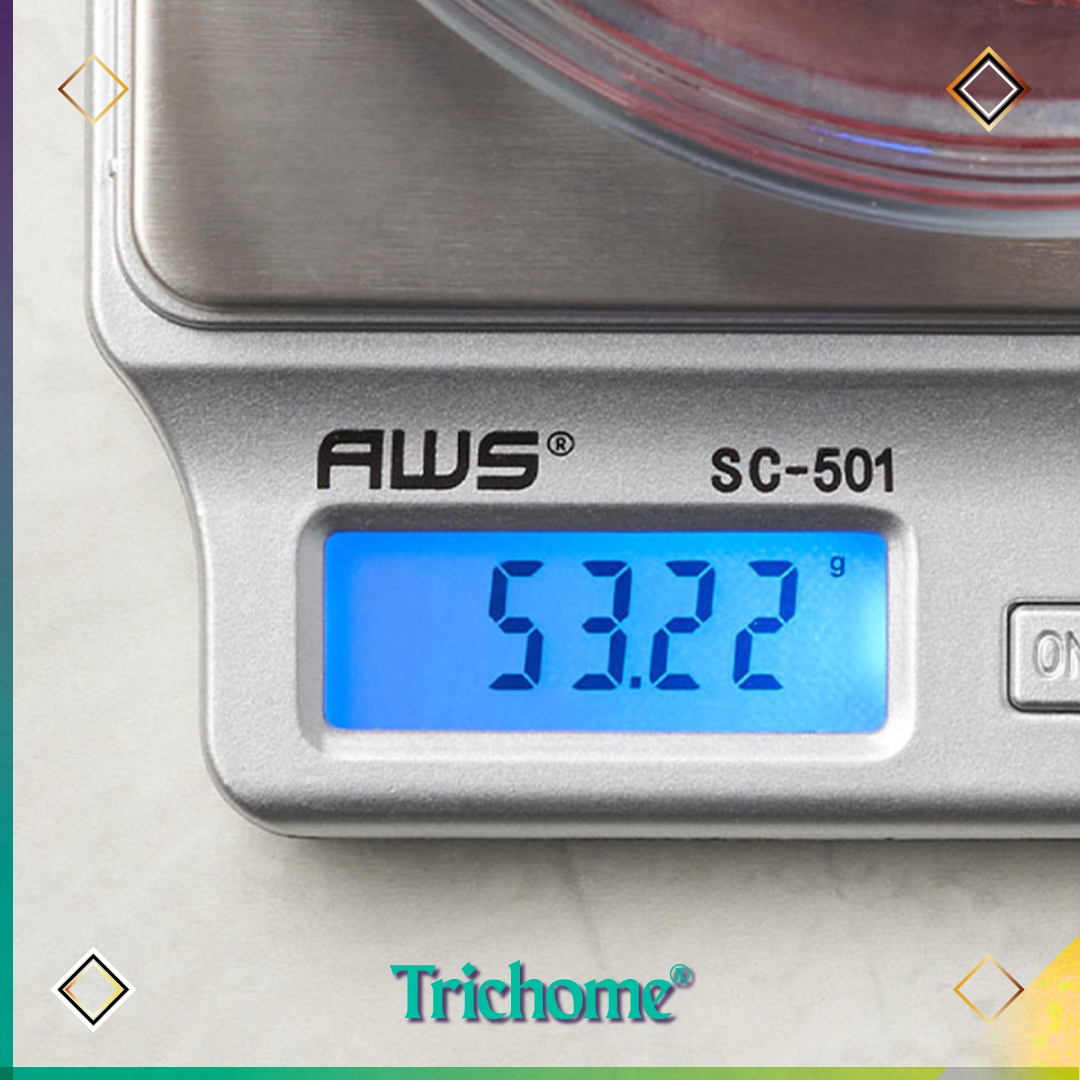 SC501 Digital Scale (500g / .01 g)