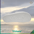 B1B Slide - Trichome Seattle - Oakley - Footwear