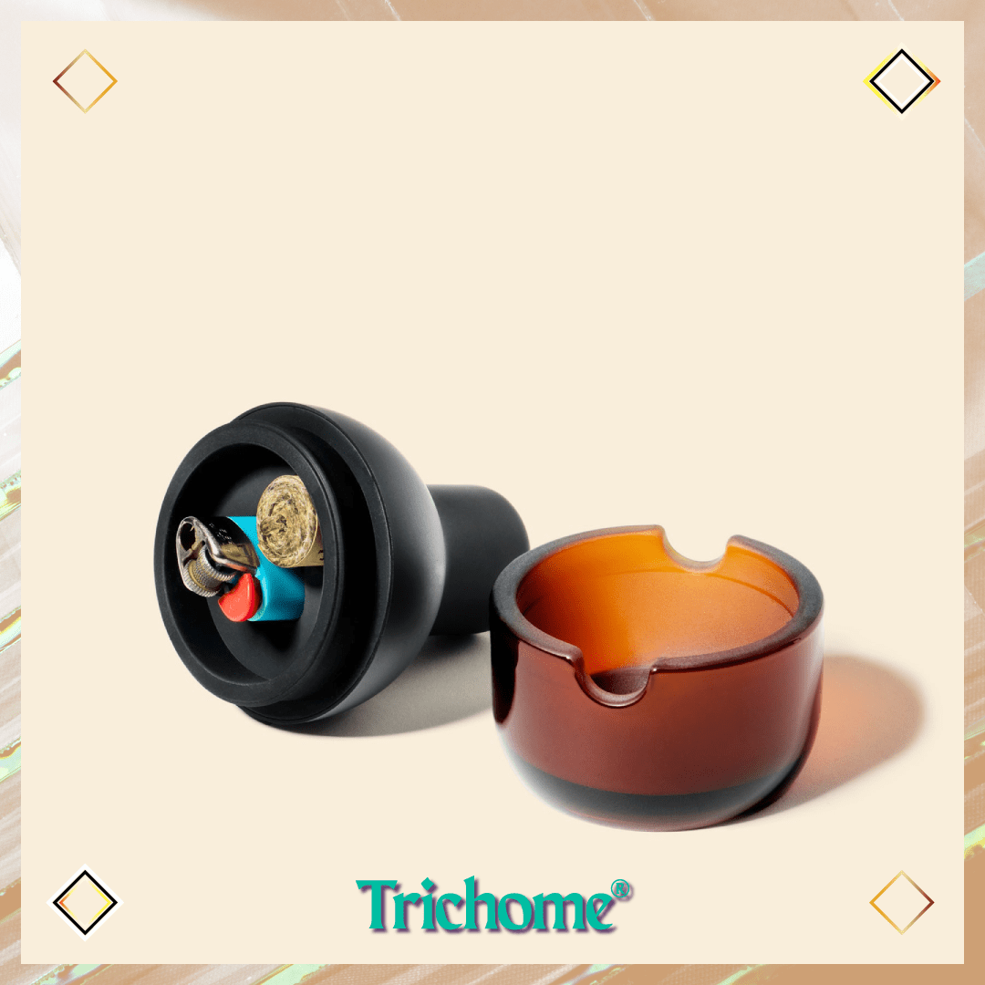 Beacon Ashtray - Trichome Seattle - NWTN Home - Glass