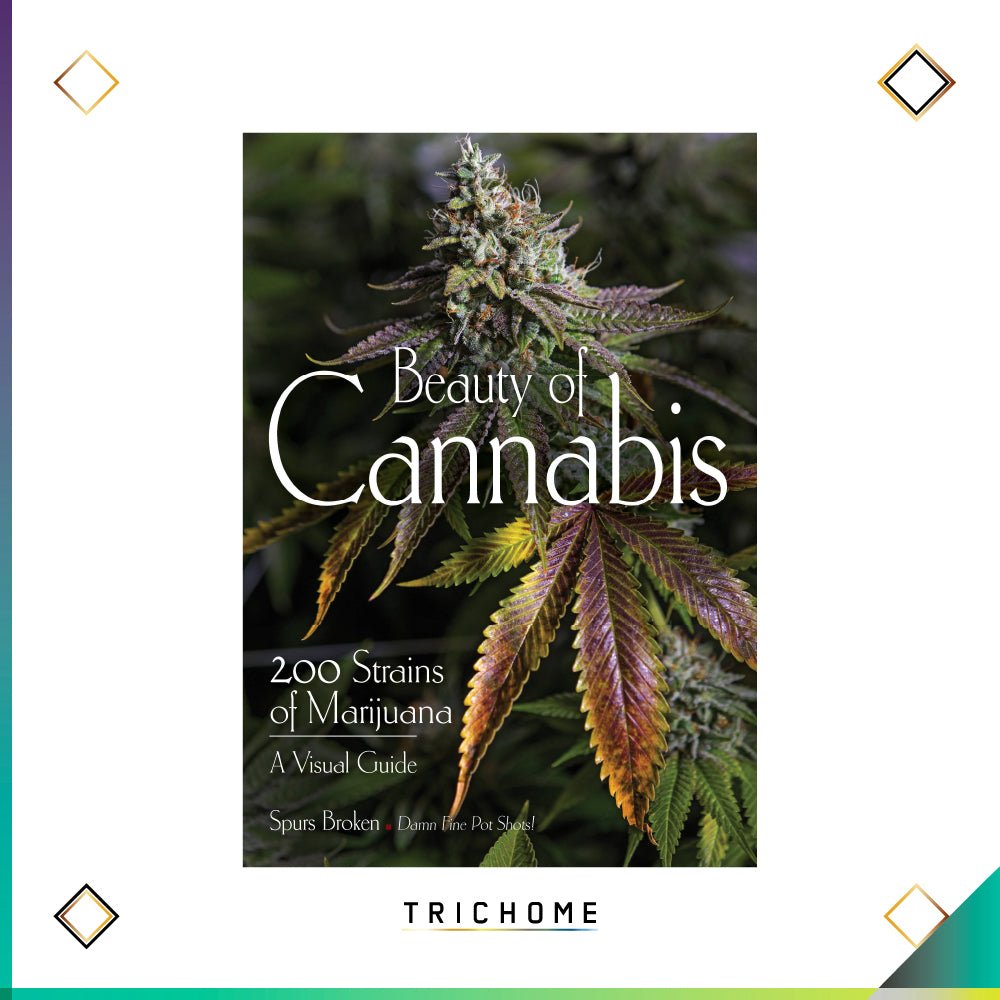 Beauty of Cannabis - Trichome Seattle - Spurs Broken - Books