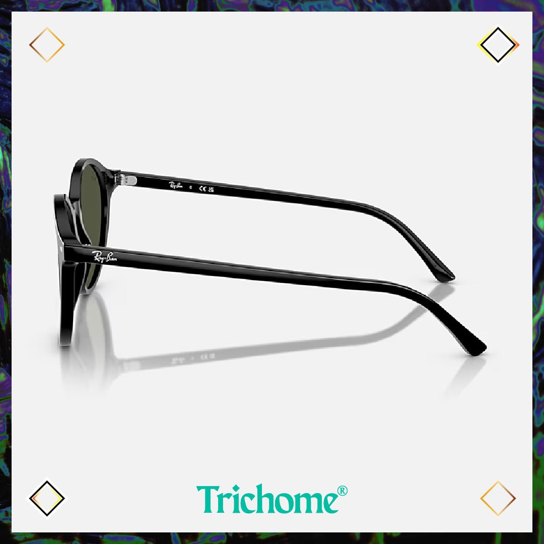 Bernard - Trichome Seattle - Ray - Ban - Eyewear