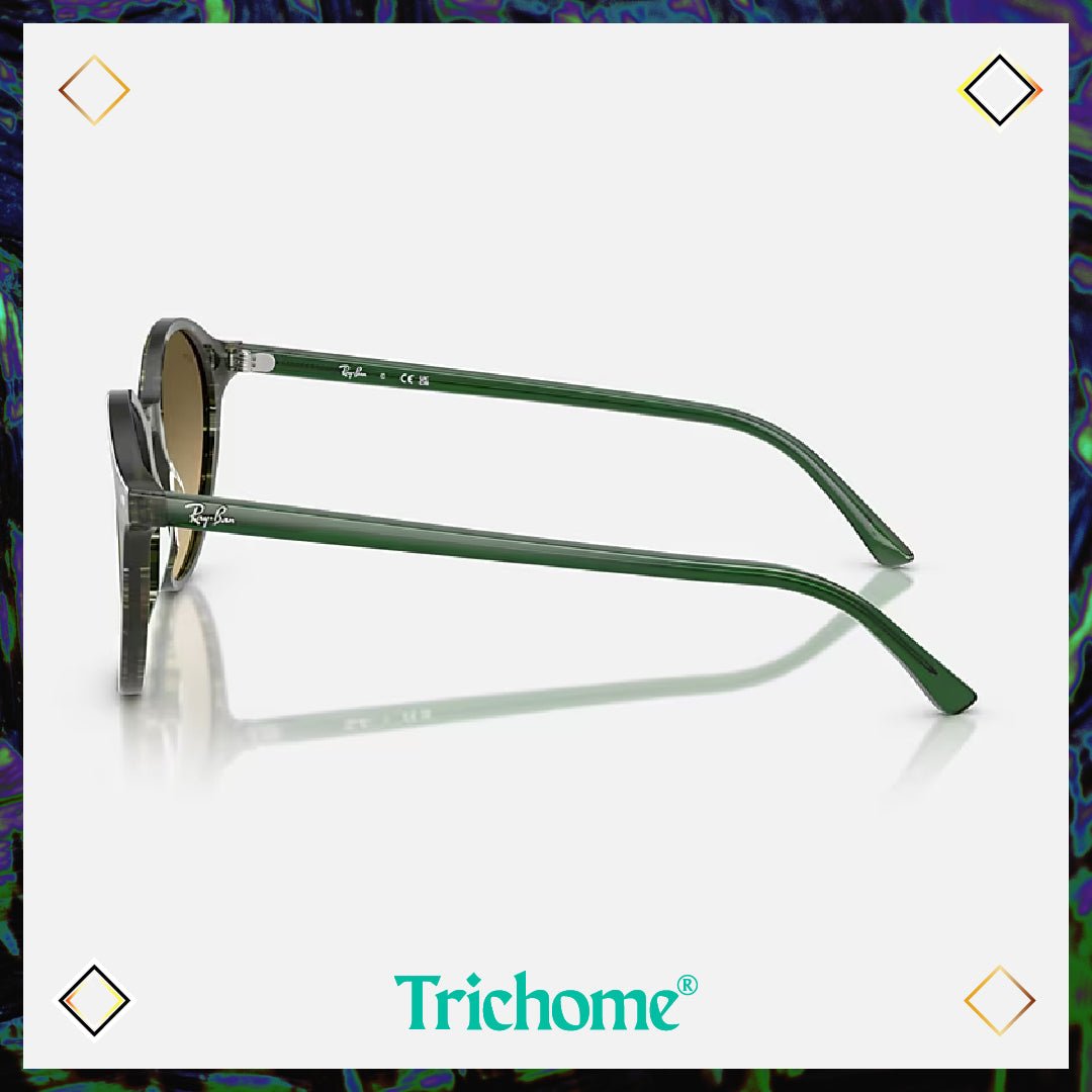 Bernard - Trichome Seattle - Ray - Ban - Eyewear