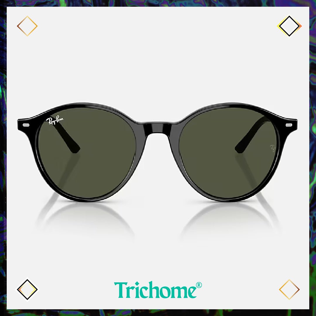 Bernard - Trichome Seattle - Ray - Ban - Eyewear