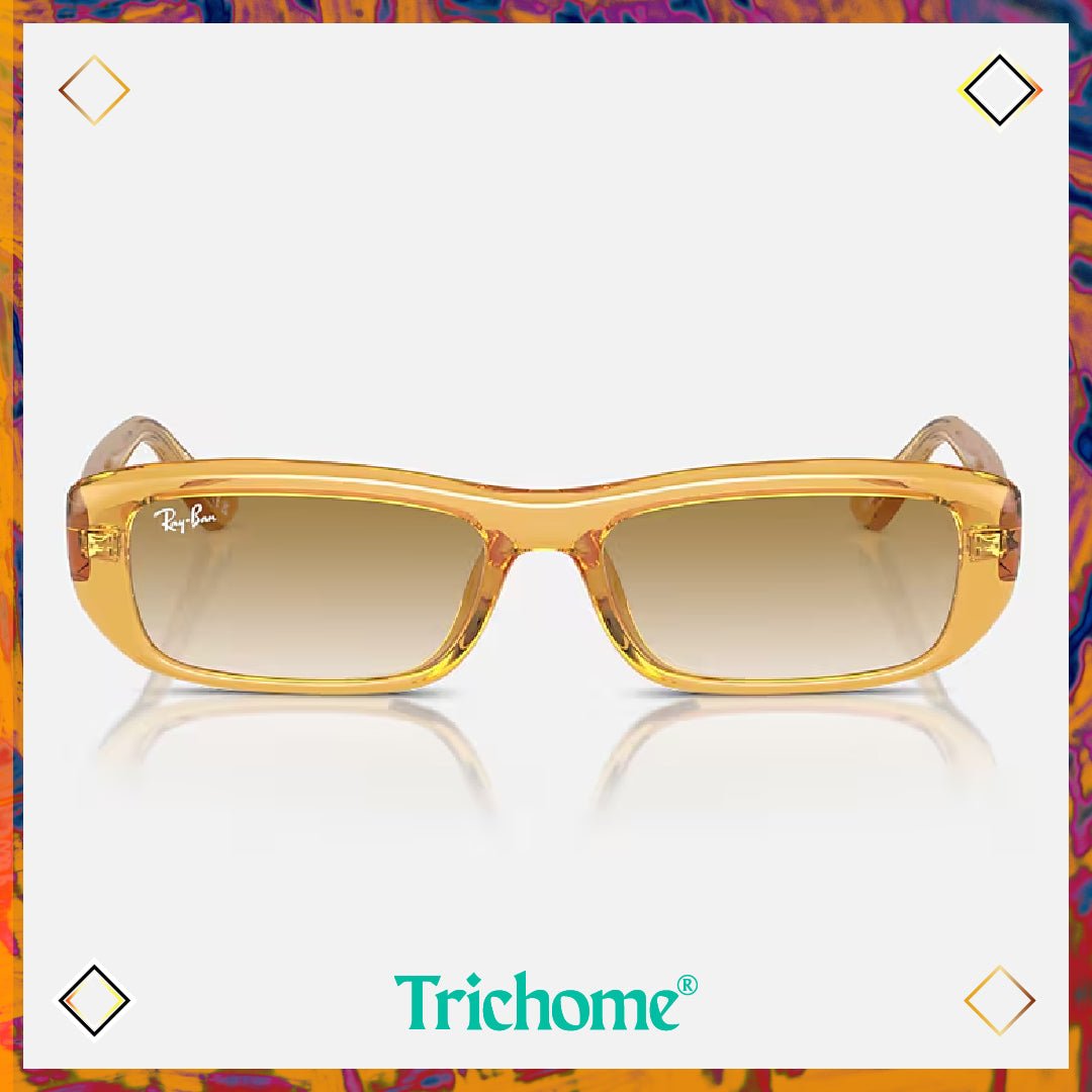 Club Classic RB4436D (Asia Exclusive) - Trichome Seattle - Ray - Ban - Eyewear