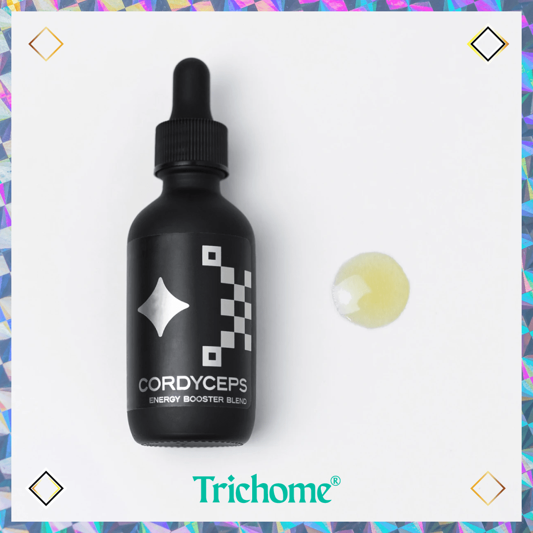 Cordyceps Tincture - Trichome Seattle - Mushroom Tek - Fungi