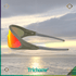 Ellipse Latitude Collection - Trichome Seattle - Oakley - Eyewear