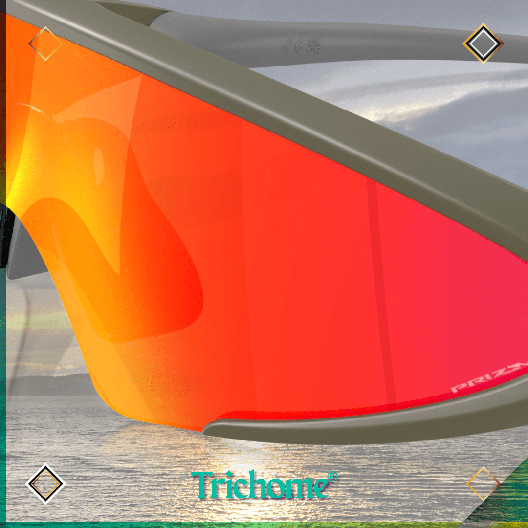 Ellipse Latitude Collection - Trichome Seattle - Oakley - Eyewear
