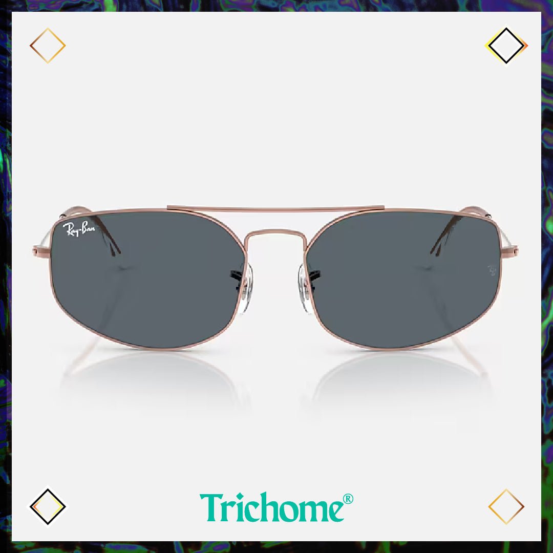 Explorer V - Trichome Seattle - Ray - Ban - Eyewear