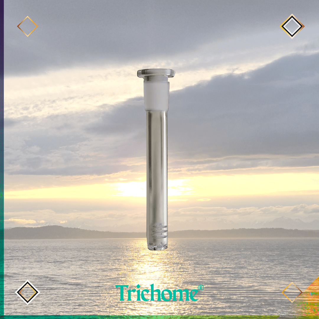 Eyce Beaker 14mm Downstem - Trichome Seattle - Eyce - Glass