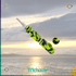 Eyce Collector - Trichome Seattle - Eyce - Glass