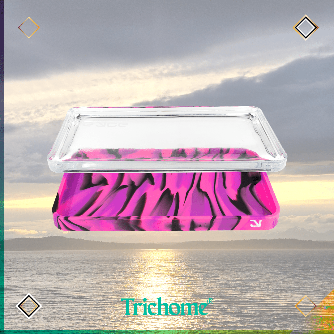 Eyce Proteck Silicone & Glass Rolling Tray - Trichome Seattle - Eyce - Glass