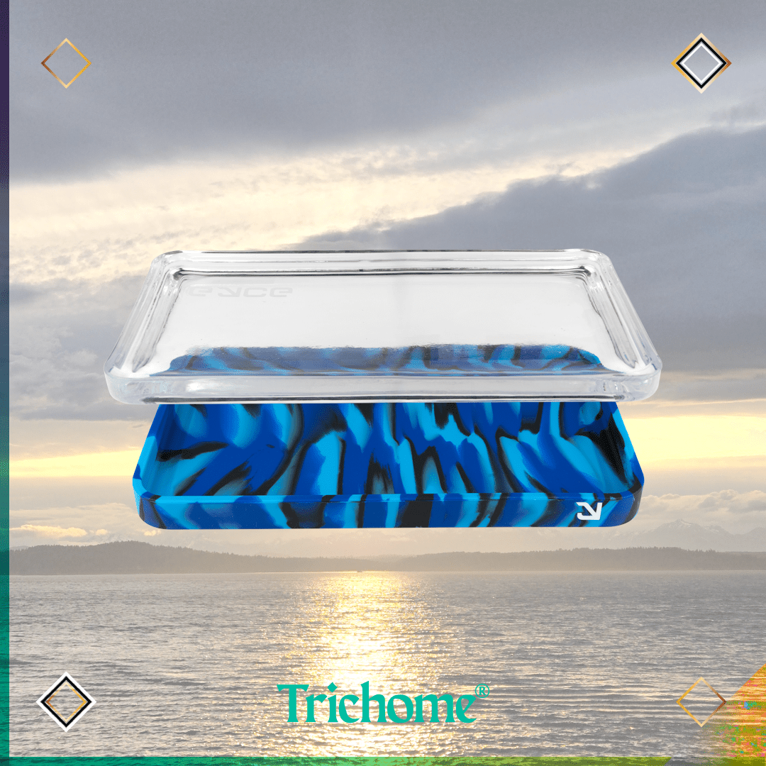Eyce Proteck Silicone & Glass Rolling Tray - Trichome Seattle - Eyce - Glass