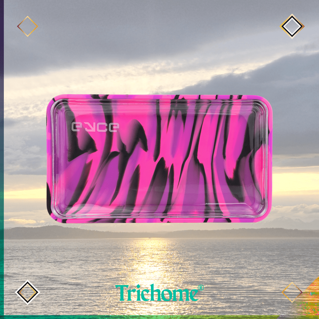 Eyce Proteck Silicone & Glass Rolling Tray - Trichome Seattle - Eyce - Glass