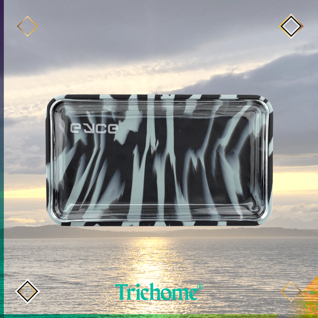 Eyce Proteck Silicone & Glass Rolling Tray - Trichome Seattle - Eyce - Glass