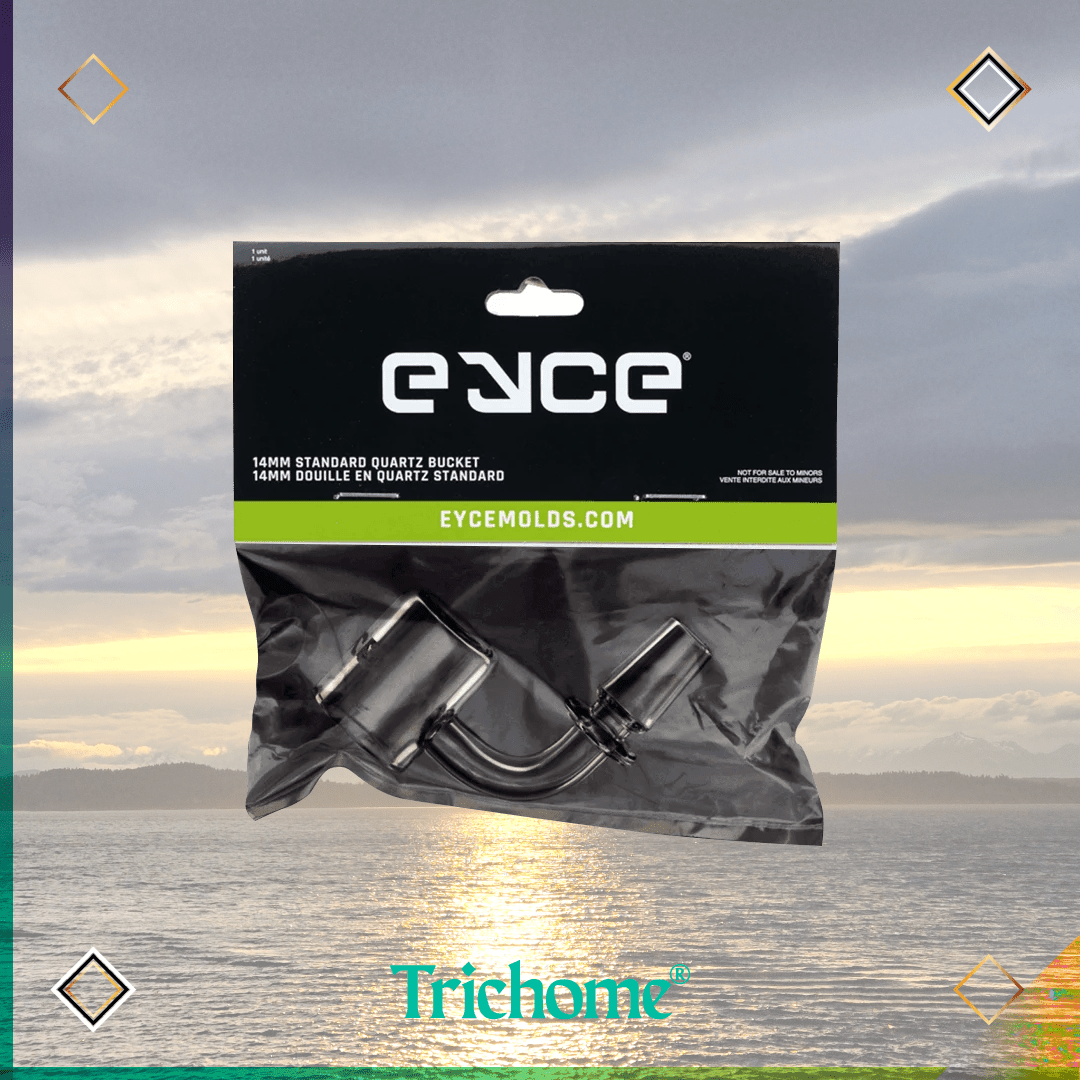 Eyce Quartz Bucket / Banger - Trichome Seattle - Eyce - Glass