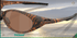Eye Jacket™ Redux Fast Cats Collection - Trichome Seattle - Oakley - Eyewear