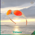 Eye Jacket™ Redux Latitude Collection - Trichome Seattle - Oakley - Eyewear