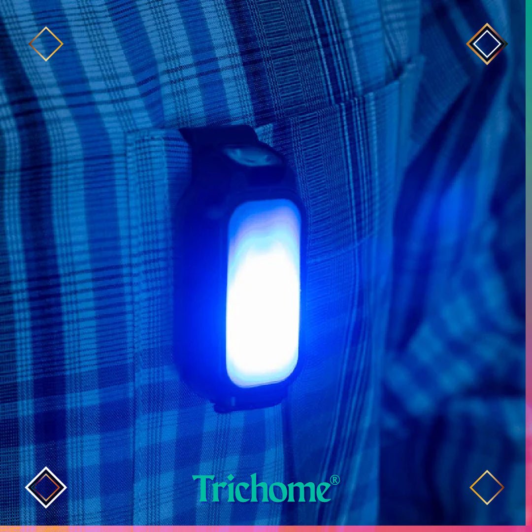 Fenix MINI - LITE Compact EDC Flashlight - Trichome Seattle - Fenix - Flashlights