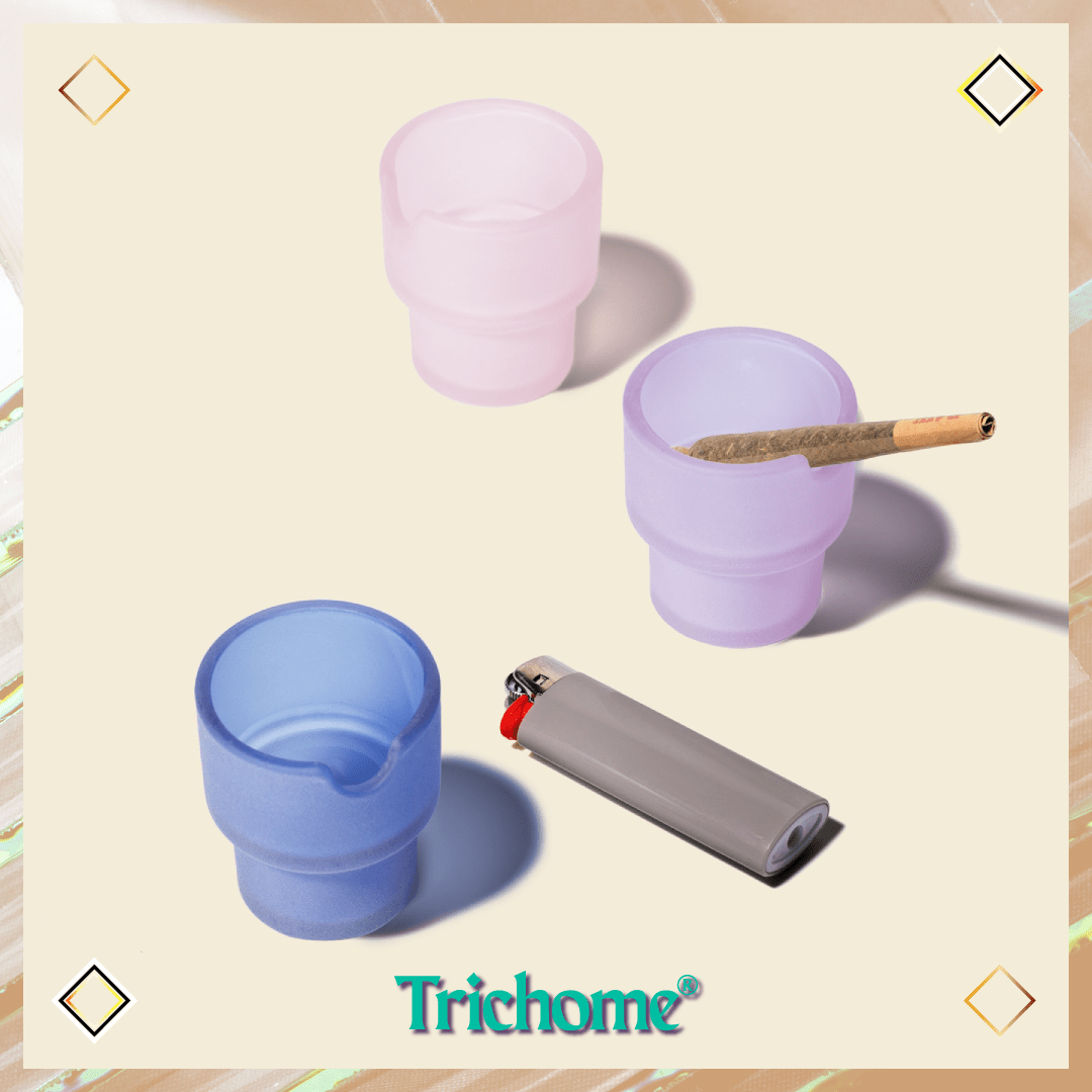Flower Pots Ashtray Set - Trichome Seattle - NWTN Home - Glass