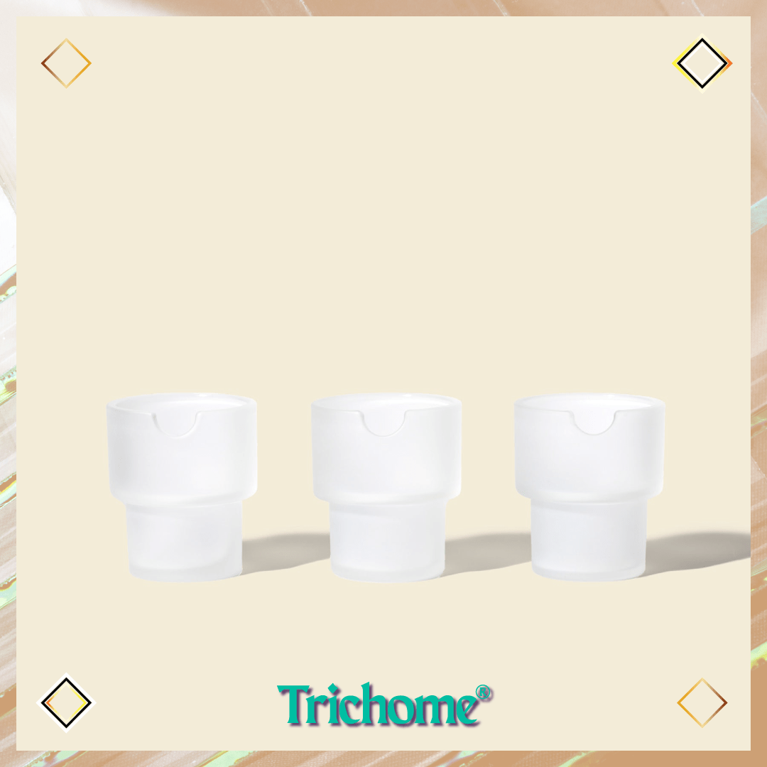 Flower Pots Ashtray Set - Trichome Seattle - NWTN Home - Glass