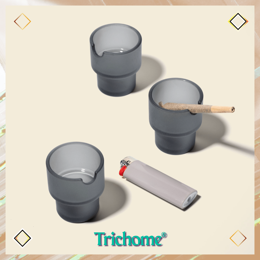 Flower Pots Ashtray Set - Trichome Seattle - NWTN Home - Glass